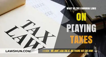 Tax Laws: Understanding Your Basic Obligations